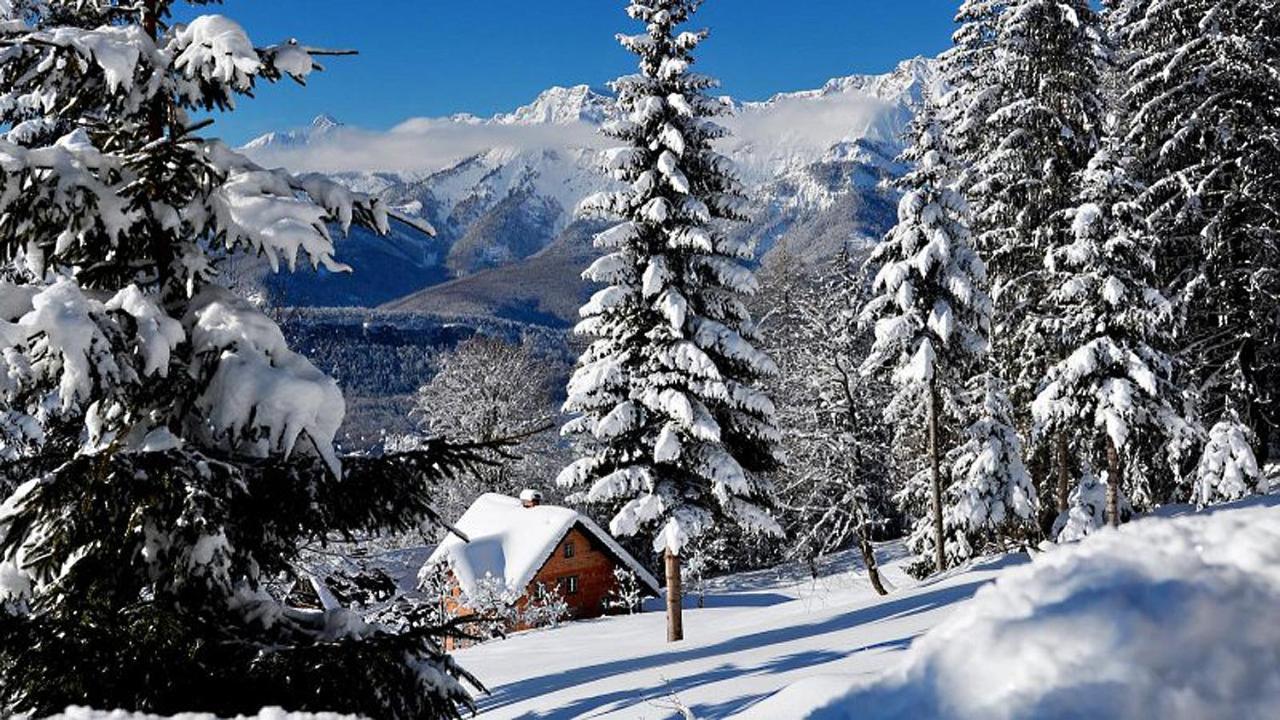 Apartment Goisernperle Bad Goisern Dış mekan fotoğraf