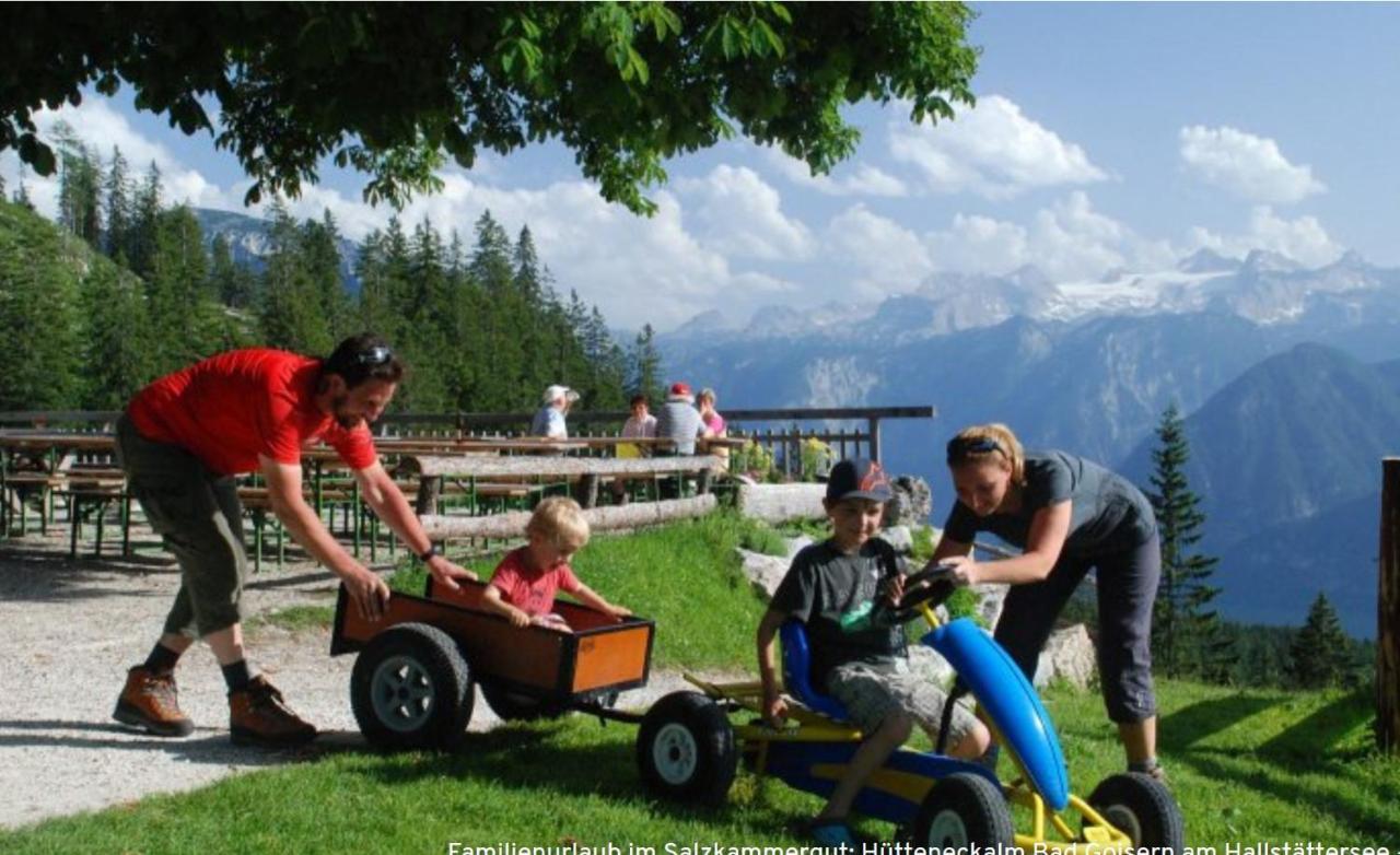 Apartment Goisernperle Bad Goisern Dış mekan fotoğraf