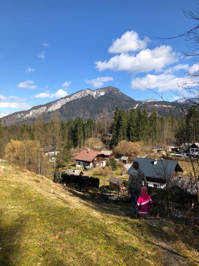Apartment Goisernperle Bad Goisern Dış mekan fotoğraf