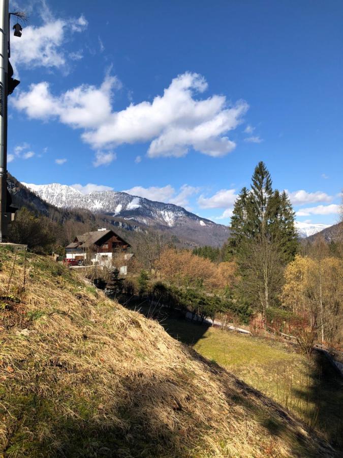 Apartment Goisernperle Bad Goisern Dış mekan fotoğraf